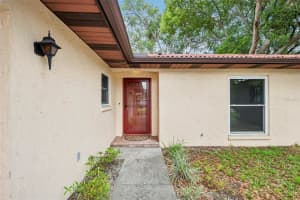 11732 MOFFAT AVENUE, TAMPA, FL 33617 - MLS#MFRTB8495956