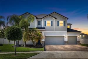 13208 SATIN LILY DRIVE, RIVERVIEW, FL 33579 - MLS#MFRTB8495974