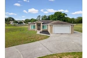 31706 HUNT CLUB LANE, WESLEY CHAPEL, FL 33543 - MLS#MFRTB8495997
