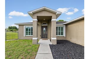 31706 HUNT CLUB LANE, WESLEY CHAPEL, FL 33543 - MLS#MFRTB8495997