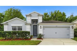 5419 SEATTLE SLEW DRIVE, WESLEY CHAPEL, FL 33544 - MLS#MFRTB8496038