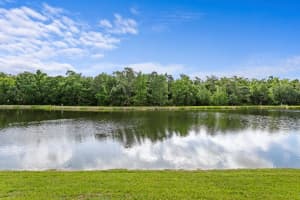 8519 PORTAGE AVENUE, TAMPA, FL 33647 - MLS#MFRTB8496039