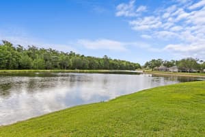 8519 PORTAGE AVENUE, TAMPA, FL 33647 - MLS#MFRTB8496039