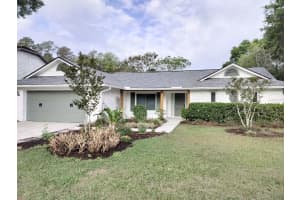 3403 BLOOMINGDALE OAKS DRIVE, VALRICO, FL 33596 - MLS#MFRTB8496077