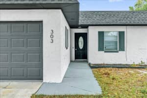 303 DILLON STREET, WINTER HAVEN, FL 33880 - MLS#MFRTB8496082