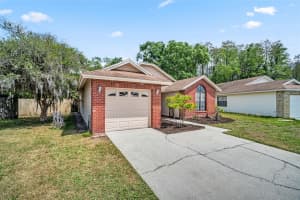 5341 SOUTHWICK DRIVE, TAMPA, FL 33624 - MLS#MFRTB8496083