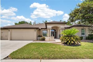 21234 TANGOR ROAD, LAND O LAKES, FL 34637 - MLS#MFRTB8496092