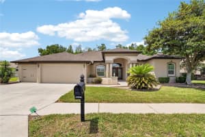 21234 TANGOR ROAD, LAND O LAKES, FL 34637 - MLS#MFRTB8496092