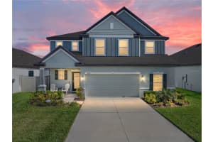 11232 BRAM BAY COURT, SAN ANTONIO, FL 33576 - MLS#MFRTB8496095