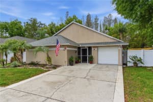 11914 SUGAR TREE DRIVE, TAMPA, FL 33625 - MLS#MFRTB8496109
