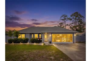 13389 BREWSTER ROAD, SPRING HILL, FL 34609 - MLS#MFRTB8496122