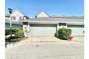 7313 S Saint Patrick St, TAMPA