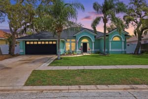 10434 NIGHTENGALE DRIVE, RIVERVIEW, FL 33569 - MLS#MFRTB8496134