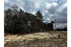 MARION OAKS MNR, OCALA, FL 34474 - MLS#MFRTB8496161
