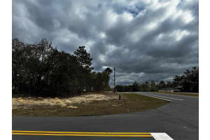 MARION OAKS MNR, OCALA, FL 34474 - MLS#MFRTB8496161