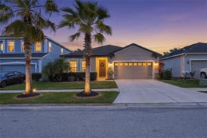 11218 SPRING POINT CIRCLE, RIVERVIEW, FL 33579 - MLS#MFRTB8496174