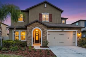 28907 Revaro Ln, WESLEY CHAPEL