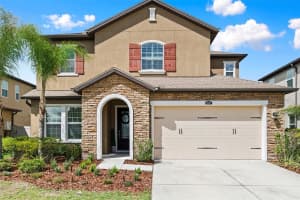 28907 REVARO LANE, WESLEY CHAPEL, FL 33543 - MLS#MFRTB8496181