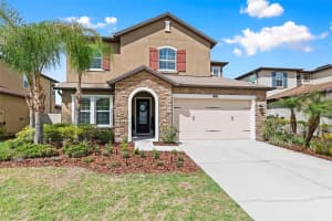 28907 REVARO LANE, WESLEY CHAPEL, FL 33543 - MLS#MFRTB8496181