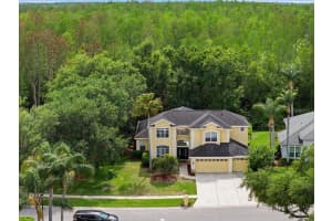 19106 SAINT LAURENT DRIVE, LUTZ, FL 33558 - MLS#MFRTB8496188
