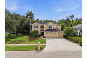 19106 SAINT LAURENT DRIVE, LUTZ, FL 33558 - MLS#MFRTB8496188
