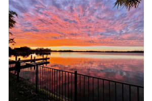 6519 Walton Way, TAMPA