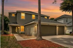 9317 Mandrake Ct, TAMPA