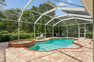 9317 MANDRAKE COURT, TAMPA, FL 33647 - MLS#MFRTB8496226