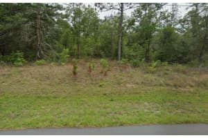 3054 HAMLET PLACE, CITRUS SPRINGS, FL 34433 - MLS#MFRTB8496228