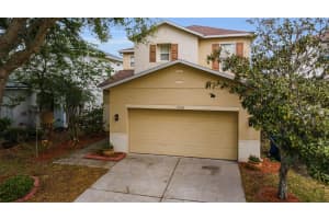 17539 Balmaha Dr, LAND O LAKES 17539 Balmaha Dr, LAND O LAKES