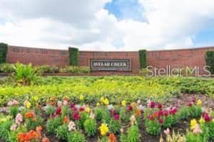 10133 CARAWAY SPICE AVENUE, RIVERVIEW, FL 33578 - MLS#MFRTB8496239