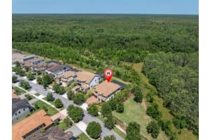 3100 BARBOUR TRAIL, ODESSA, FL 33556 - MLS#MFRTB8496258
