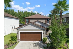 1653 Ludington Ave, WESLEY CHAPEL