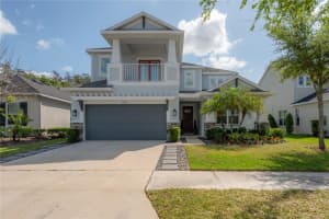 8009 CLEMENTINE LANE, TAMPA, FL 33625 - MLS#MFRTB8496289