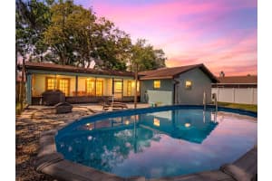 1505 MICHIGAN AVENUE, PALM HARBOR, FL 34683 - MLS#MFRTB8496323