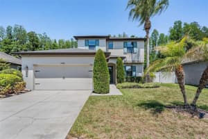 19545 POST ISLAND LOOP, LAND O LAKES, FL 34638 - MLS#MFRTB8496352