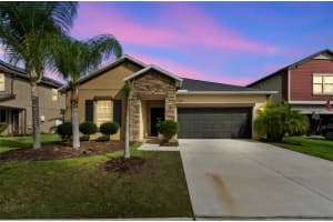 19157 ANDREA LYNN LANE, LAND O LAKES, FL 34638 - MLS#MFRTB8496363