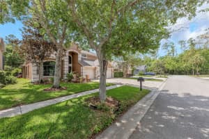 10422 GREENDALE DRIVE, TAMPA, FL 33626 - MLS#MFRTB8496378