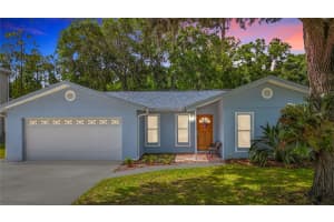 12912 STARLING DRIVE, ODESSA, FL 33556 - MLS#MFRTB8496395