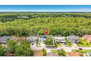 12912 STARLING DRIVE, ODESSA, FL 33556 - MLS#MFRTB8496395