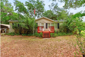 11809 DUNWOODIE MANOR DRIVE, THONOTOSASSA, FL 33592 - MLS#MFRTB8496412