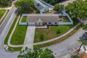 300 SWEETGUM COURT, PALM HARBOR, FL 34683 - MLS#MFRTB8496451