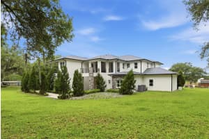 8241 CASS ROAD, ZEPHYRHILLS, FL 33540 - MLS#MFRTB8496468