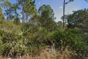 29 ULMACEAL PATH, PALM COAST, FL 32164 - MLS#MFRTB8496482