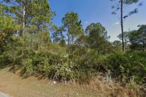 25 ULMACEAL PATH, PALM COAST, FL 32164 - MLS#MFRTB8496494