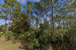 25 ULMACEAL PATH, PALM COAST, FL 32164 - MLS#MFRTB8496494