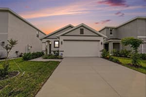 6298 Wandering Willow Dr, WESLEY CHAPEL