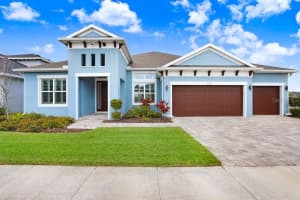 16247 NOVEMBER RAIN COURT, LAND O LAKES, FL 34638 - MLS#MFRTB8496583