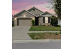 10206 GOLDEN LIGHT COURT, RIVERVIEW, FL 33578 - MLS#MFRTB8496592