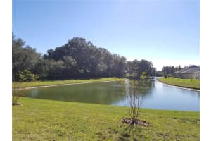 30708 WALKER CUP PLACE, WESLEY CHAPEL, FL 33543 - MLS#MFRTB8496597